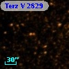Terz V 2829