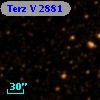 Terz V 2881