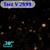 Terz V 2899