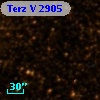 Terz V 2905