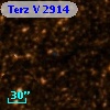 Terz V 2914