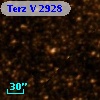 Terz V 2928
