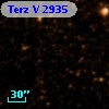 Terz V 2935