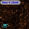 Terz V 2944