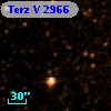 Terz V 2966