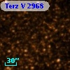 Terz V 2968
