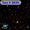 Terz V 3039