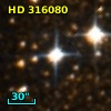HD 316080