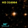 HD 316064