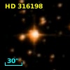 HD 316198
