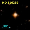 HD 316239