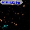 V* V4492 Sgr