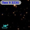 Terz V 3231