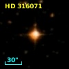 HD 316071