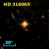 HD 316065