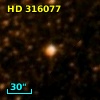 HD 316077