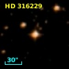 HD 316229
