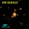 HD 316313