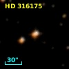HD 316175