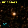 HD 316067