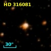 HD 316081