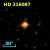HD 316087
