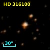 HD 316100
