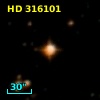 HD 316101