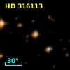 HD 316113