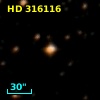 HD 316116