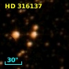HD 316137