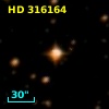 HD 316164