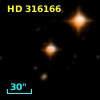 HD 316166