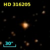 HD 316205