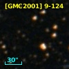 V* V4996 Sgr