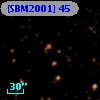 [SBM2001]  45