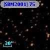 [SBM2001]  75