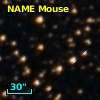 NAME MOUSE