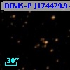 DENIS-P J174429.9-293711