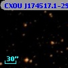 CXOU J174517.1-290313