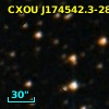 CXOU J174542.3-285606