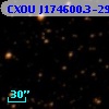 CXOU J174600.3-290244