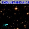 CXOU J174603.4-290010