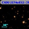 CXOU J174603.5-285338