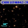 CXOU J174604.2-285726