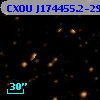 CXOU J174455.2-290417