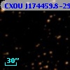 CXOU J174459.8-291941