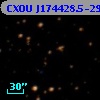 CXOU J174428.5-293929