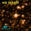 HD 316407