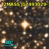2MASS J17493029-3036016